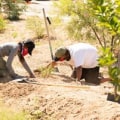 Community Service Organizations in Central Arizona: Making a Difference in Environmental Issues