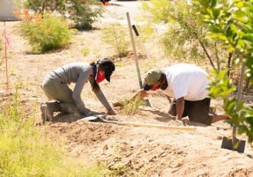 Community Service Organizations in Central Arizona: Making a Difference in Environmental Issues