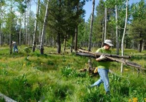 Collaboration among Community Service Organizations in Central Arizona